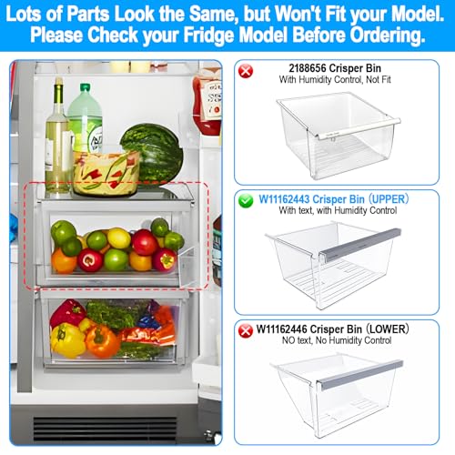 ALVAR W11162443 Refrigerator Crisper Drawer For Whirlpool Fridge Drawer - Image 6