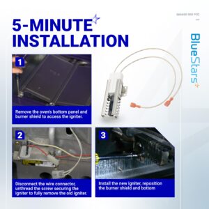 BlueStars 2-Pack PB040001 065650-000 Range Oven Igniter for Viking Ranges