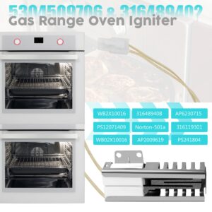 5304509706 Oven Igniter, 316489402 for Frigidaire Kenmore 790 Series