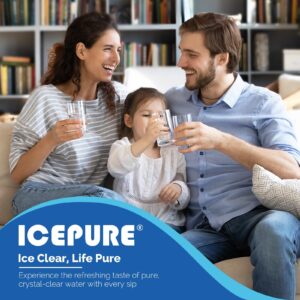ICEPURE Replacement for Frigidaire EPTWFU01, Pure Source Ultra II, 3 Pack
