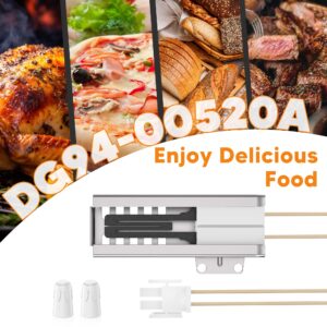 DG94-00520A Gas Range Oven Igniter for Samsung NX58H5600SS Nx58h9500WS