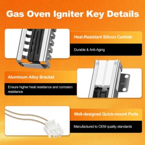 Upgrade NISHCON DG94-00520A Gas Oven Igniter Replacement Compatible with Samsung Gas Range Stove NX58H5600SS NX58H5650WS NX58F5500SS, Replaces 2692271 AP5577941 PS4241428 EAP4241428